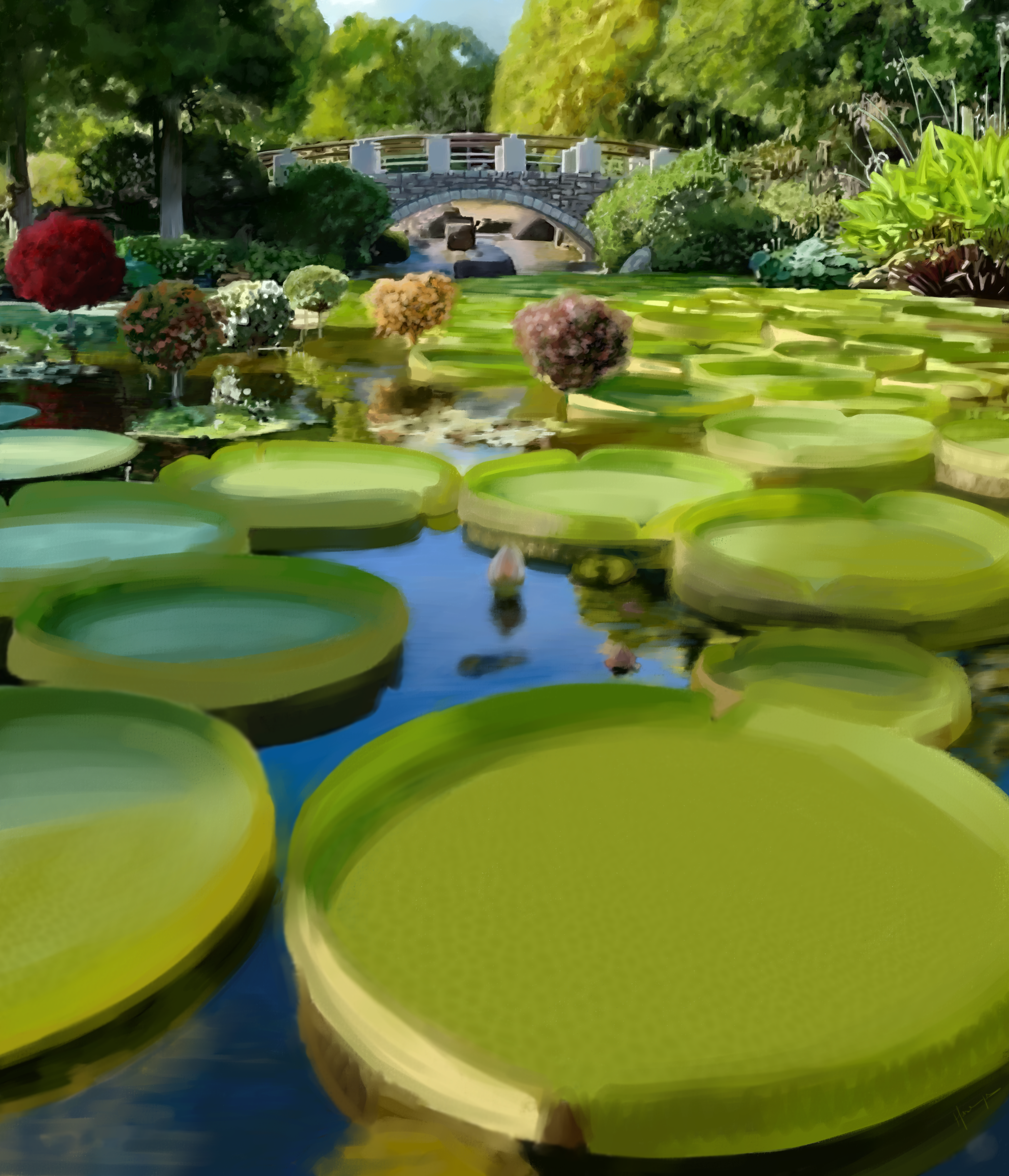 nénuphars etude 172